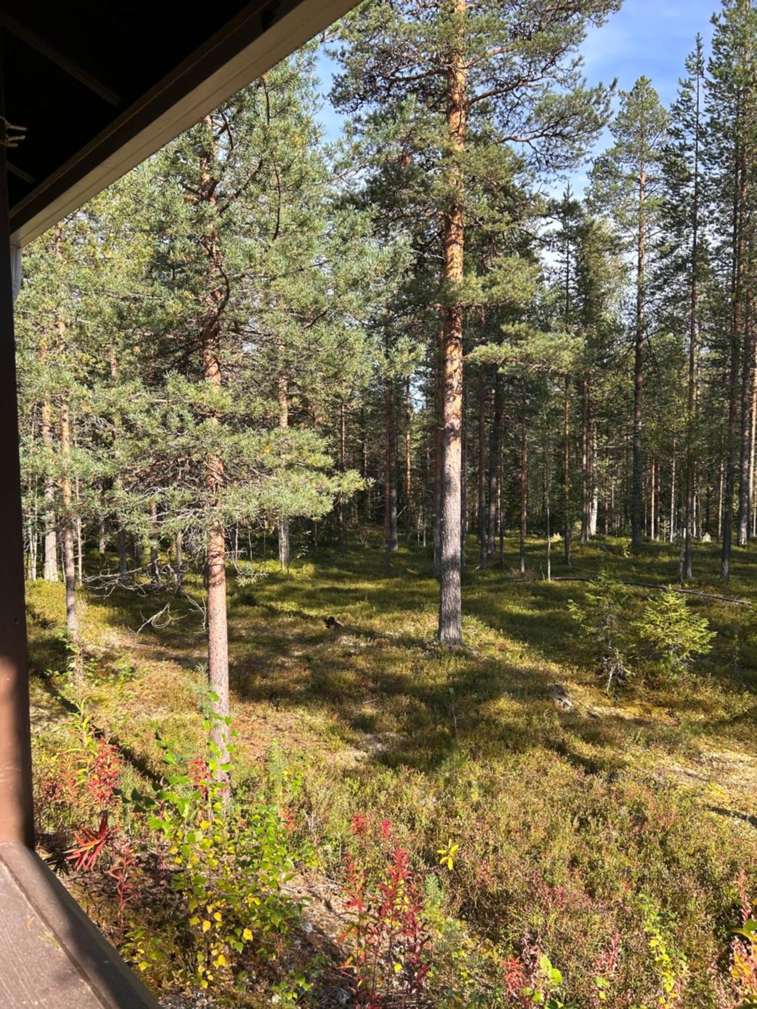 Unelmasaeleikkoe 2 Kittila  Exterior photo
